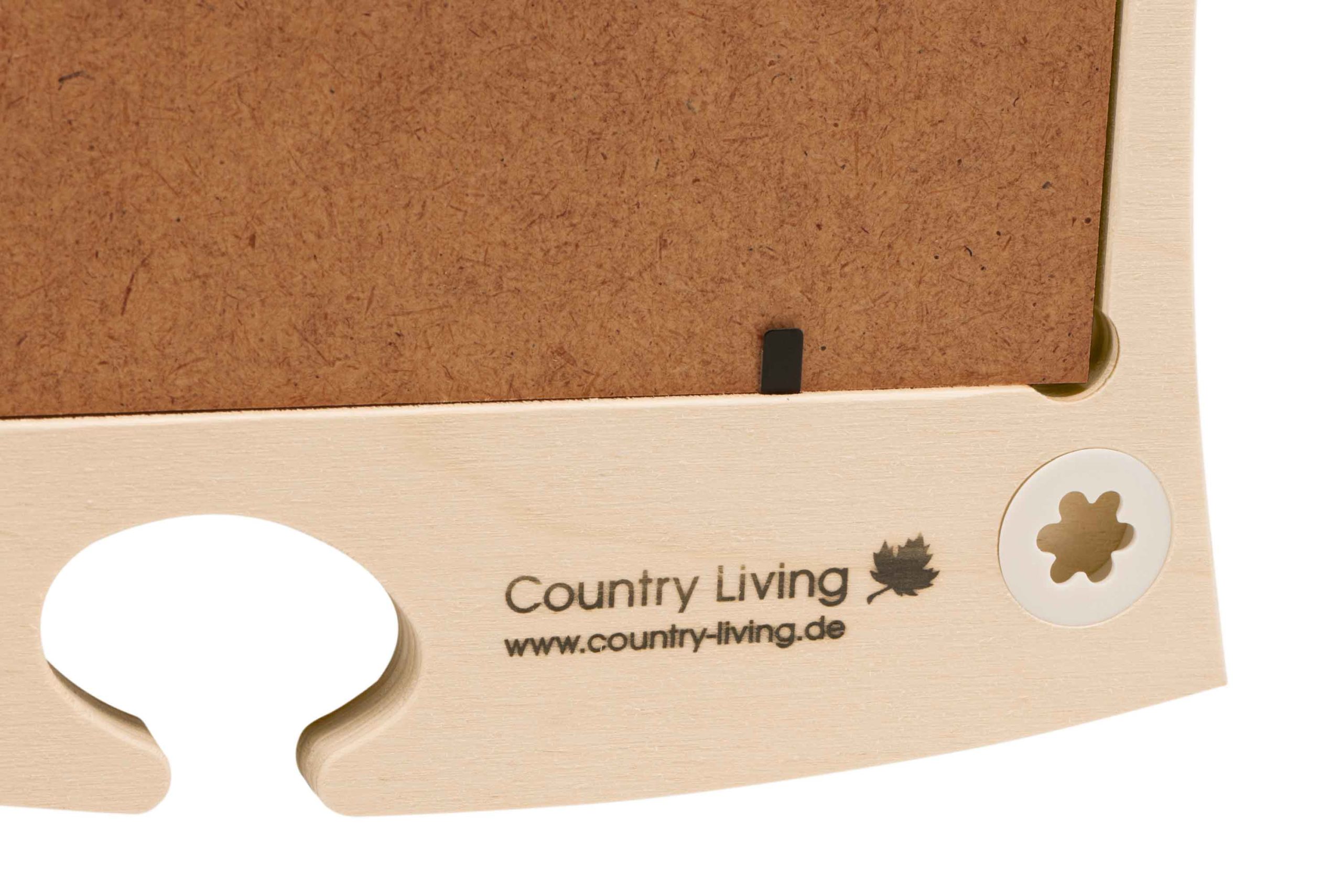 BRENNSTEMPEL detail2000 scaled