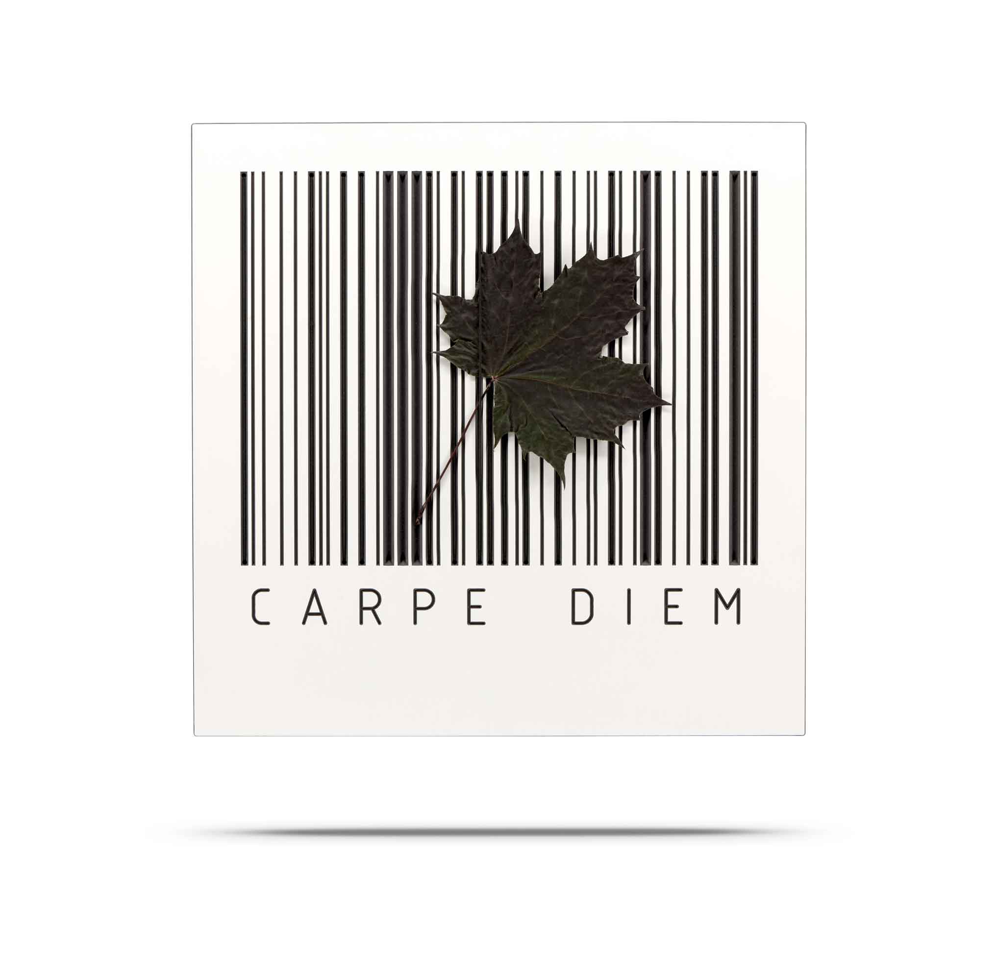 CARPE DIEM 032000