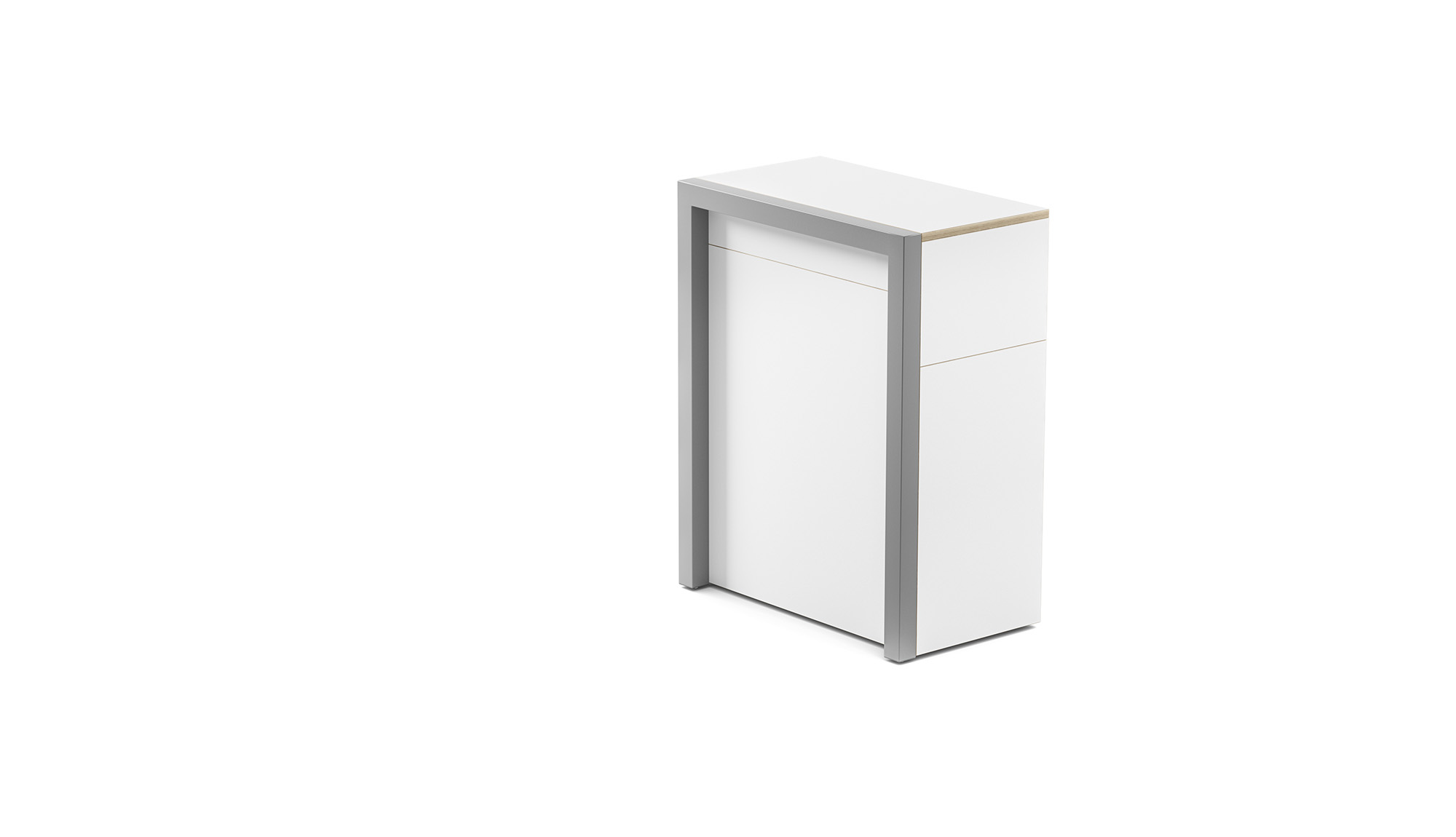 ALWIN’S SECRETARY | The Idealist